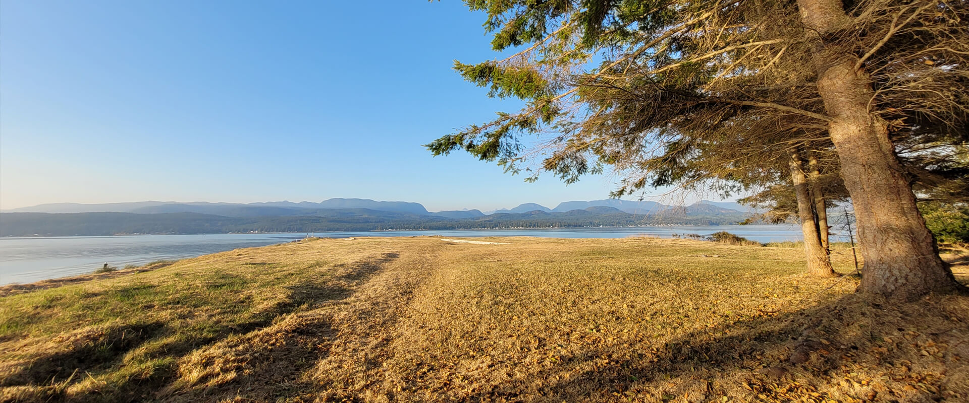 The base of two trees on the right, looking out over green and brown field, a body of water, and mountains in the background on a clear day.