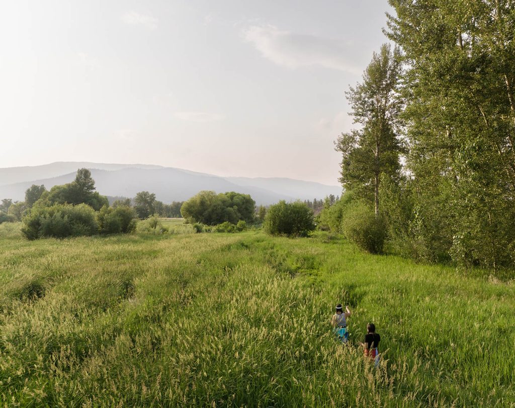 Two people walk through a tall grassy clearing surrounded by forest and mountain.