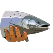 Stage of transformation icon (Salmon) transformed