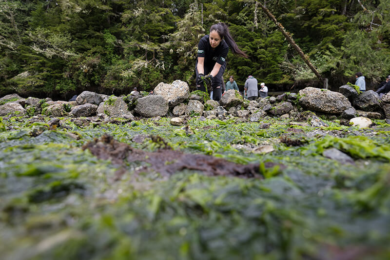 A woman working in the clam field.