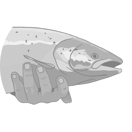 Stage of transformation icon (Salmon) not started