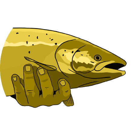 Stage of transformation icon (Salmon) lowest level