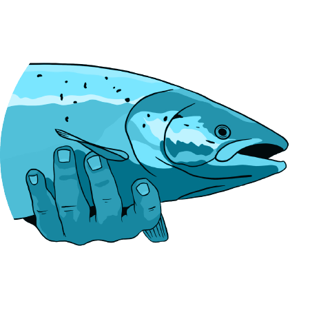 Stage of transformation icon (Salmon) mid level