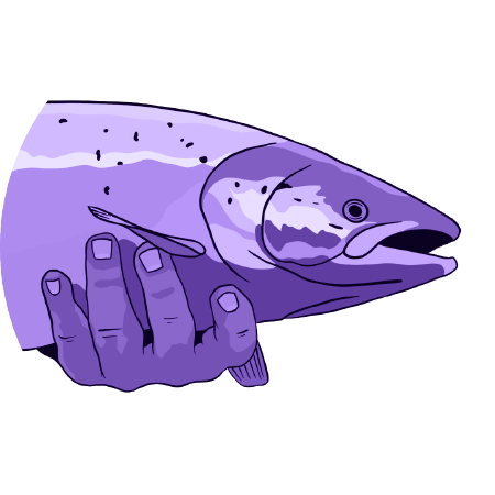 Stage of transformation icon (Salmon) high level