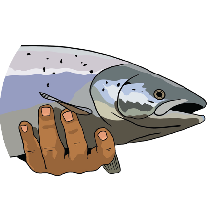 Stage of transformation icon (Salmon) transformed